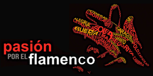 Imagen Pasión por el flamenco